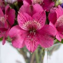 Arranjo Roxo e Rosa Em Vaso Quadrado