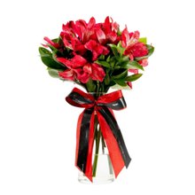 Arranjo De Astro Vermelhas Em Vaso De Vidro - Tiffany