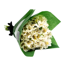 Bouquet de Alstromeria Branca - Miley