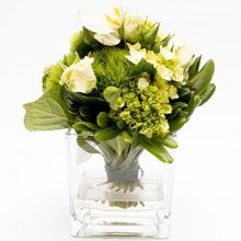 Arranjo Verde Em Vaso Quadrado - Wendy