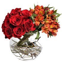 Arranjo Rosa Vermelha e Astro Laranja