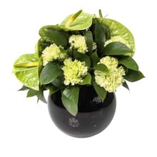 Arranjo Verde em Vaso Redondo