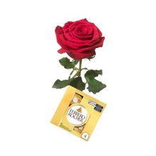 Rosa Importada Bella