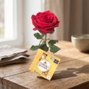 Rosa Importada Bella