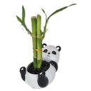 Panda Sentado com Bambu da Sorte