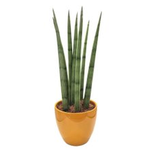 Lança de São Jorge com Vaso em Cerâmica