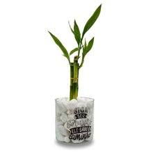 Bambu da Sorte com Vaso Siga Seu Coração