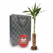 Suporte Rústico com Bambu da Sorte e Boneco Daruma