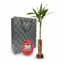 Suporte Rústico com Bambu da Sorte e Boneco Daruma