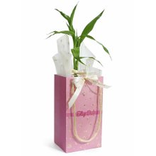 Kit Presente Bambu da Sorte e Sacola Feliz Dia