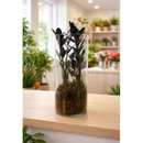 Arranjo em Vidro com Black Zamioculca (Planta da Fortu