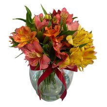 Arranjo de Astromélias Primavera 