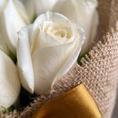 Buquê Aconchego de Rosas Brancas 