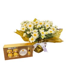 Margaridinhas e Chocolates 