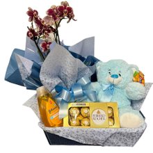 Kit Maternidade Theo 