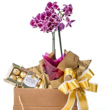 Mini Orquídea com Ferrero Rocher