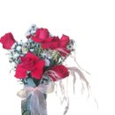 Especial Rosas Vermelhas