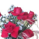 Especial Rosas Vermelhas