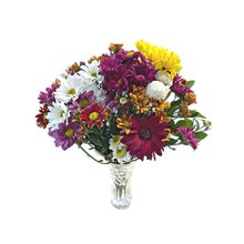 Arranjo Margaridas Em Vaso