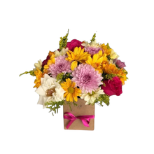 Mini Box Ternura Colorida