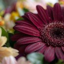 Buquê de Gerberas Mistas