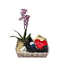 Cesta de Frutas e Chocolates