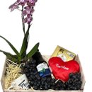 Cesta de Frutas e Chocolates