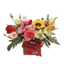 Arranjo Doce Alegria