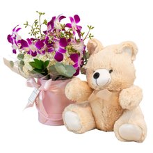 Kit Presente Arranjo Orquídeas e Urso de Pelúcia Lyon