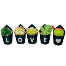 Kit Love com Cactos de Sabonetes 