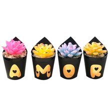 Kit Suculenta em Sabonete