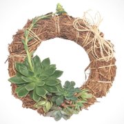 Guirlanda com Suculentas Naturais