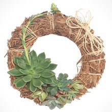 Guirlanda com Suculentas Naturais