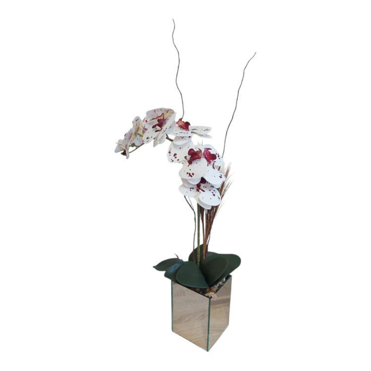 Orquídea  no Vaso Espelhado