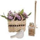 Kit Mini Jardim Encantado 