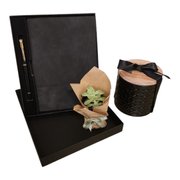 Kit Executive Elegance