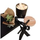 Kit Executive Elegance