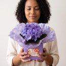 Violeta Roxa 