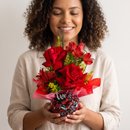 Bolha de Rosas Vermelhas
