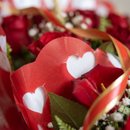 Buquê Tradicional de 12 Rosas Vermelhas 