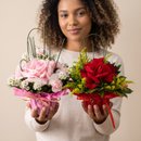 Solitários de Rosas Encantadoras 