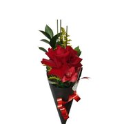 Cone com Rosa Colombiana