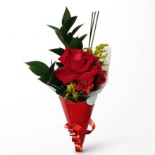Cone de Rosa Colombiana 