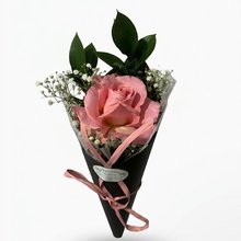 Cone de Rosa Colombiana (Rosa)