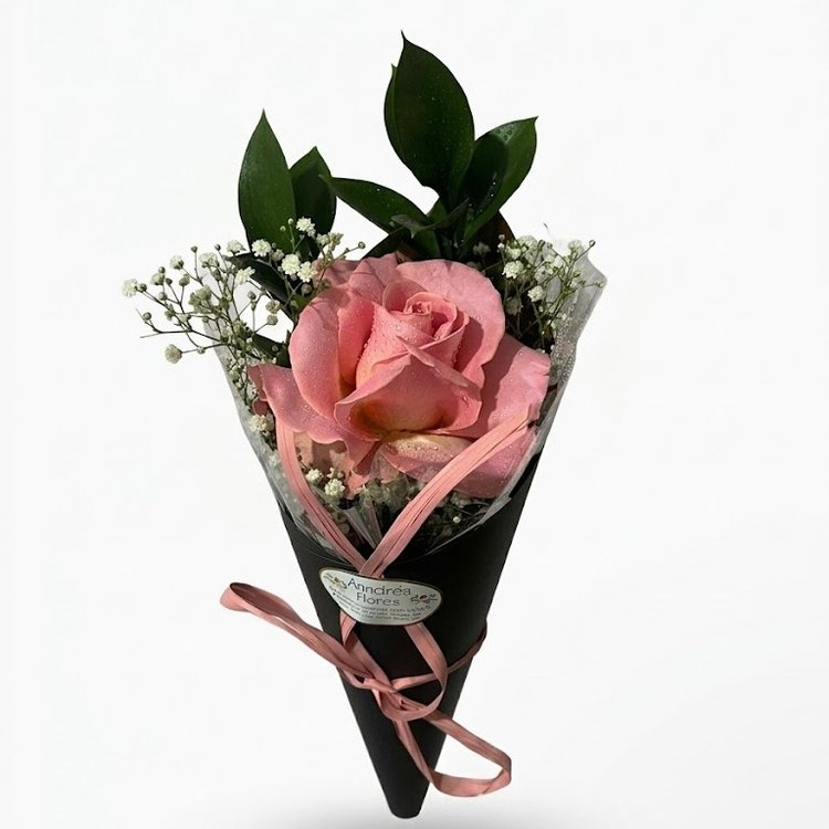 Cone de Rosa Colombiana (Rosa)