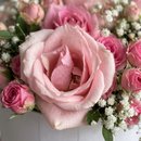CAIXA BOX ROSAS 