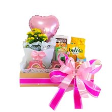 Bandeja Média Tradicional