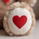 Urso Pelúcia Coração Amor
