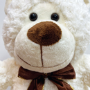 Urso Fofinho Pelúcia Encaracolado