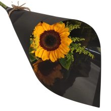 Elegante Girassol Para Presente